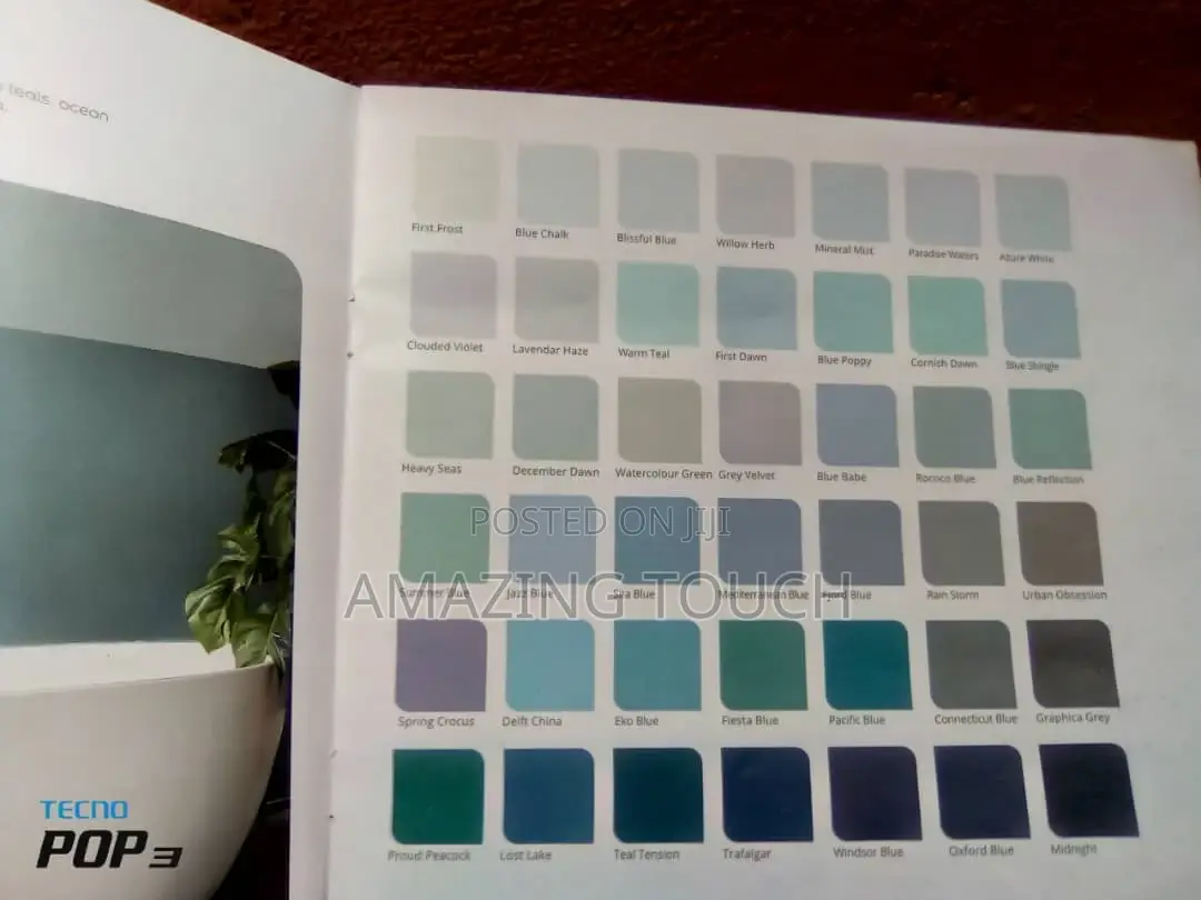 House Painting Work