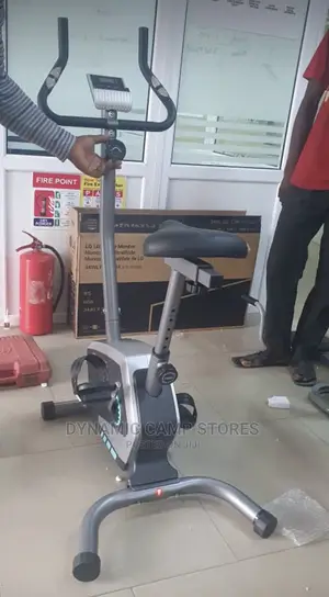 Magnetic Bike Ash