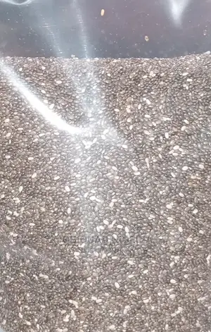 Organic Chia Seeds 250g