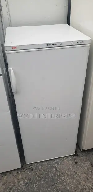 Standing Freezer Refrigerator