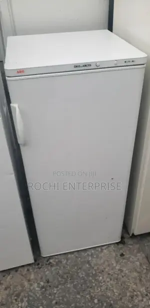 Standing Freezer Refrigerator