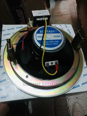 Ceiling Mounted Audio Speaker