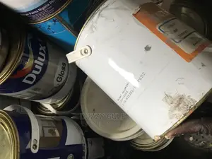 Caplux Paint