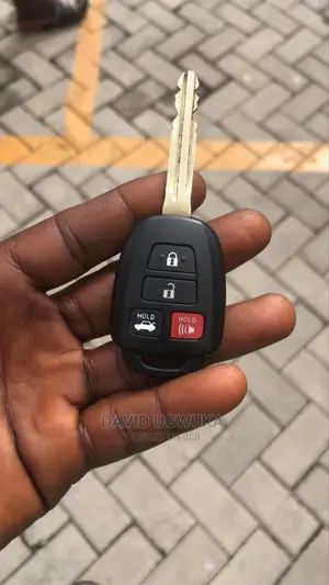 Original Remote Keys