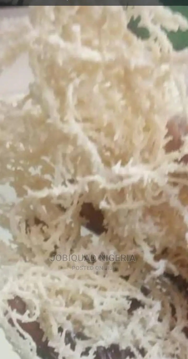 Irish Sea Moss Organic 250g