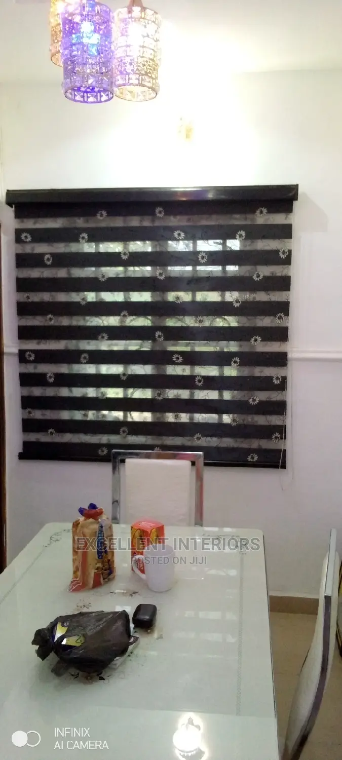 Day and Night Window Blinds