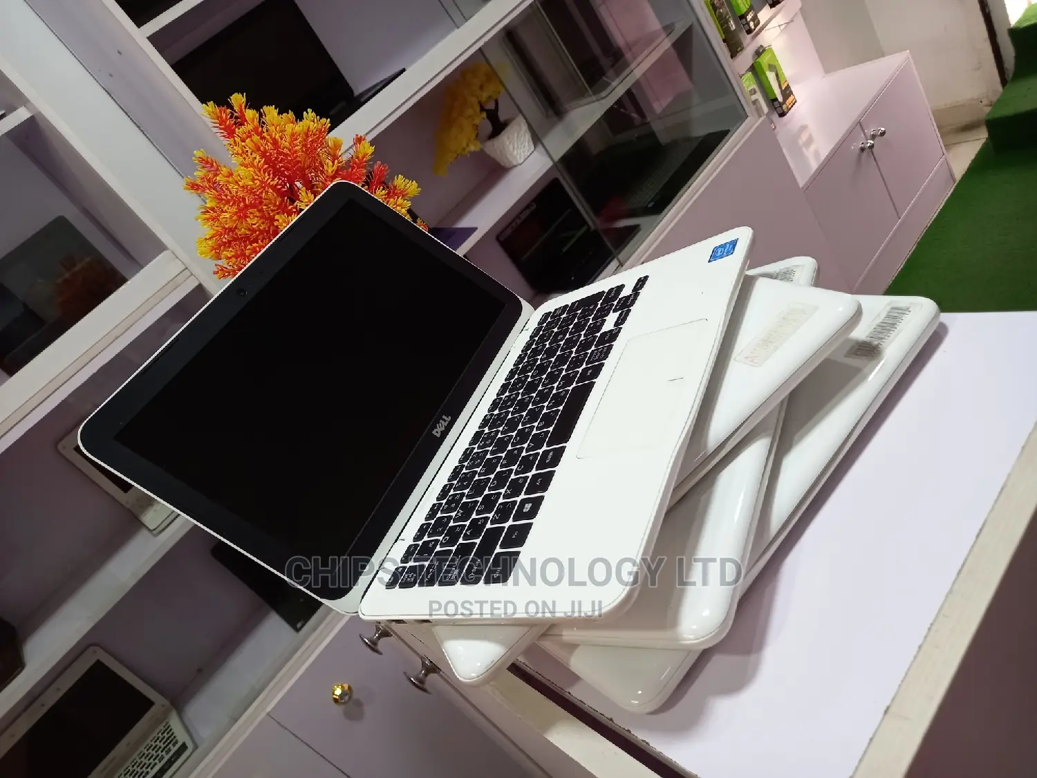 Laptop Dell Inspiron 11 3000 4GB Intel Celeron SSD 60GB