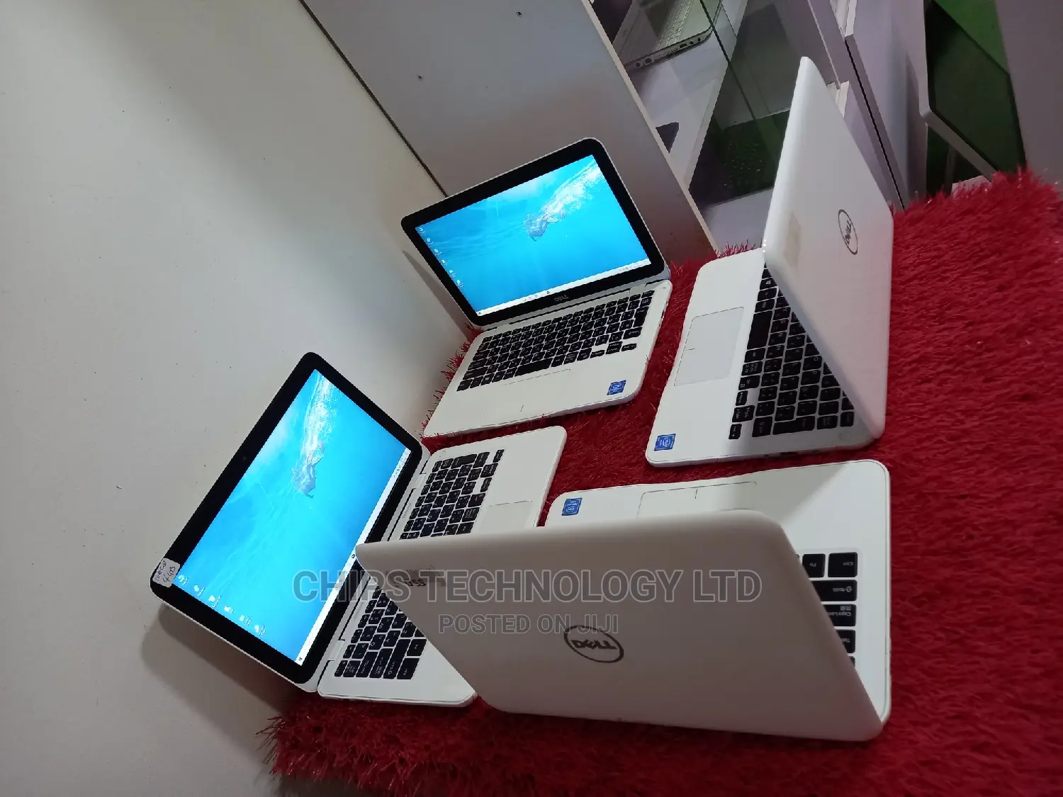 Laptop Dell Inspiron 11 3000 4GB Intel Celeron SSD 60GB