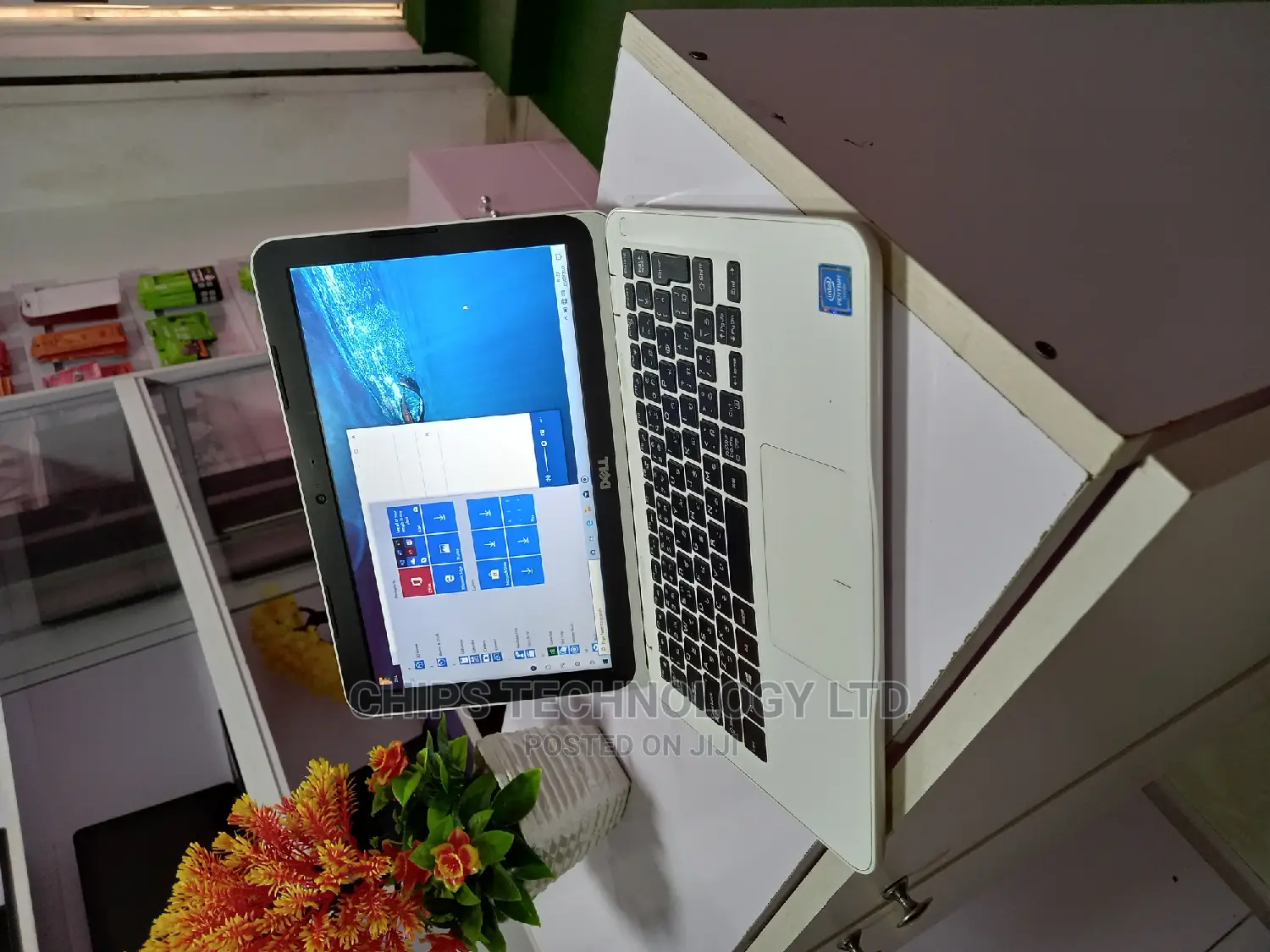 Laptop Dell Inspiron 11 3000 4GB Intel Celeron SSD 60GB