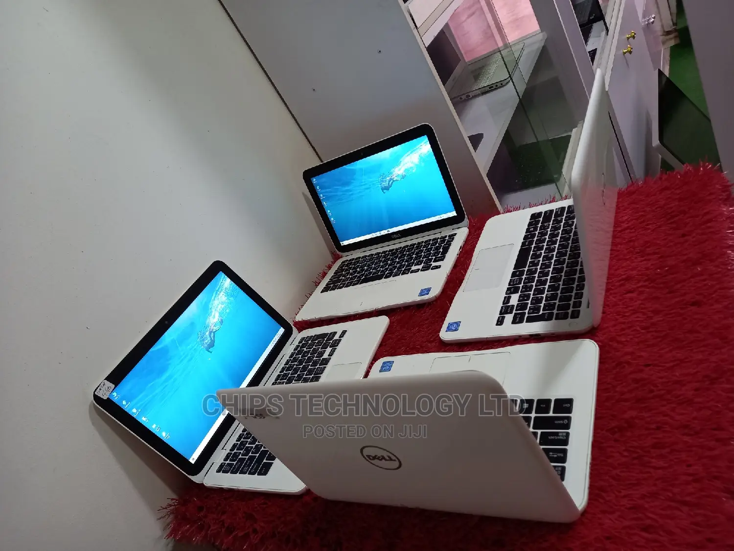 Laptop Dell Inspiron 11 3000 4GB Intel Celeron SSD 60GB