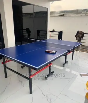 Outdoor Table Tennis With Bat and Post