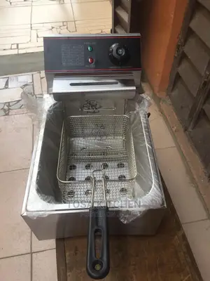 1 Baskets Electric Deep Fryer