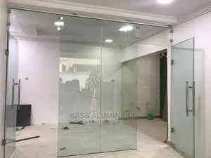 Frameless Glass Hing
