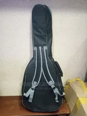 Paded Leather Guitar Bag