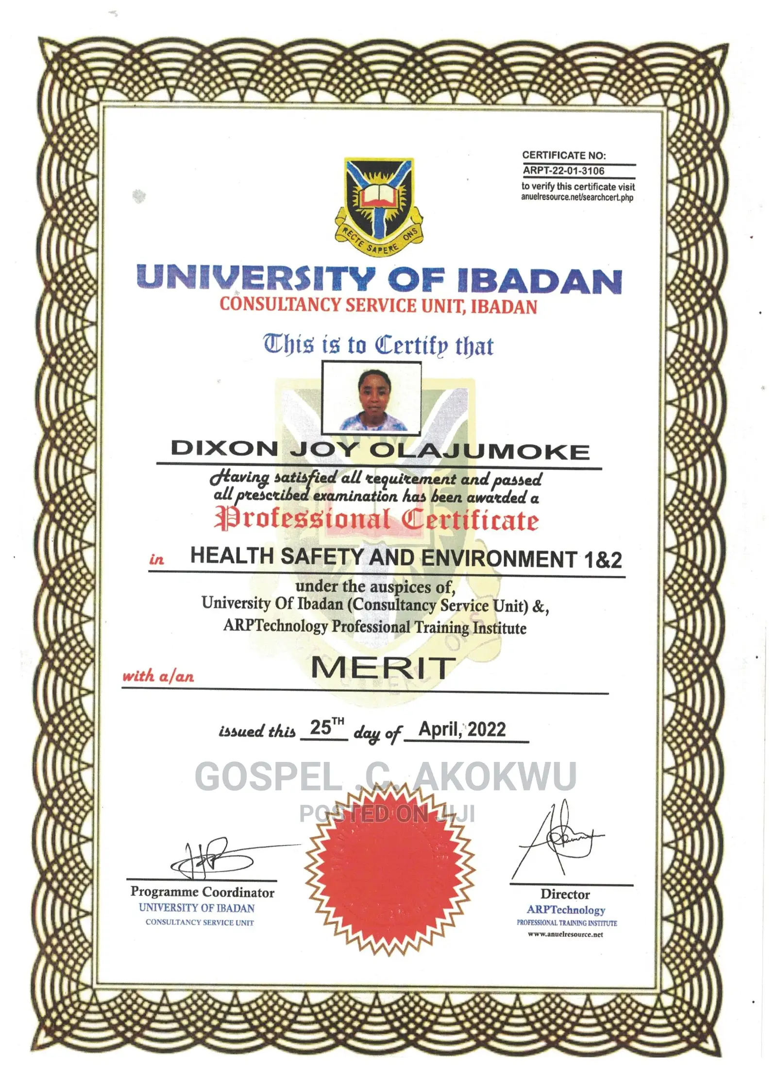 Professional and ICT Training Programs