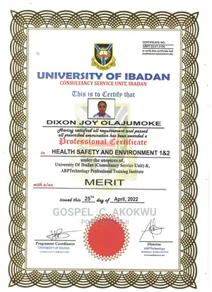 Professional and ICT Training Programs