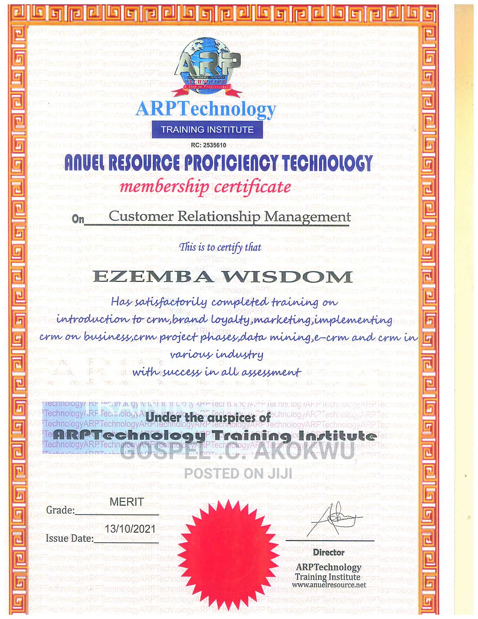 Professional and ICT Training Programs