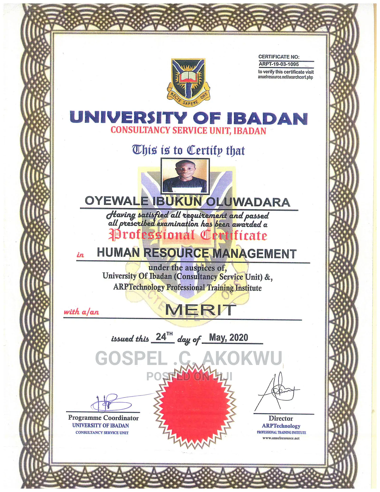 Professional and ICT Training Programs