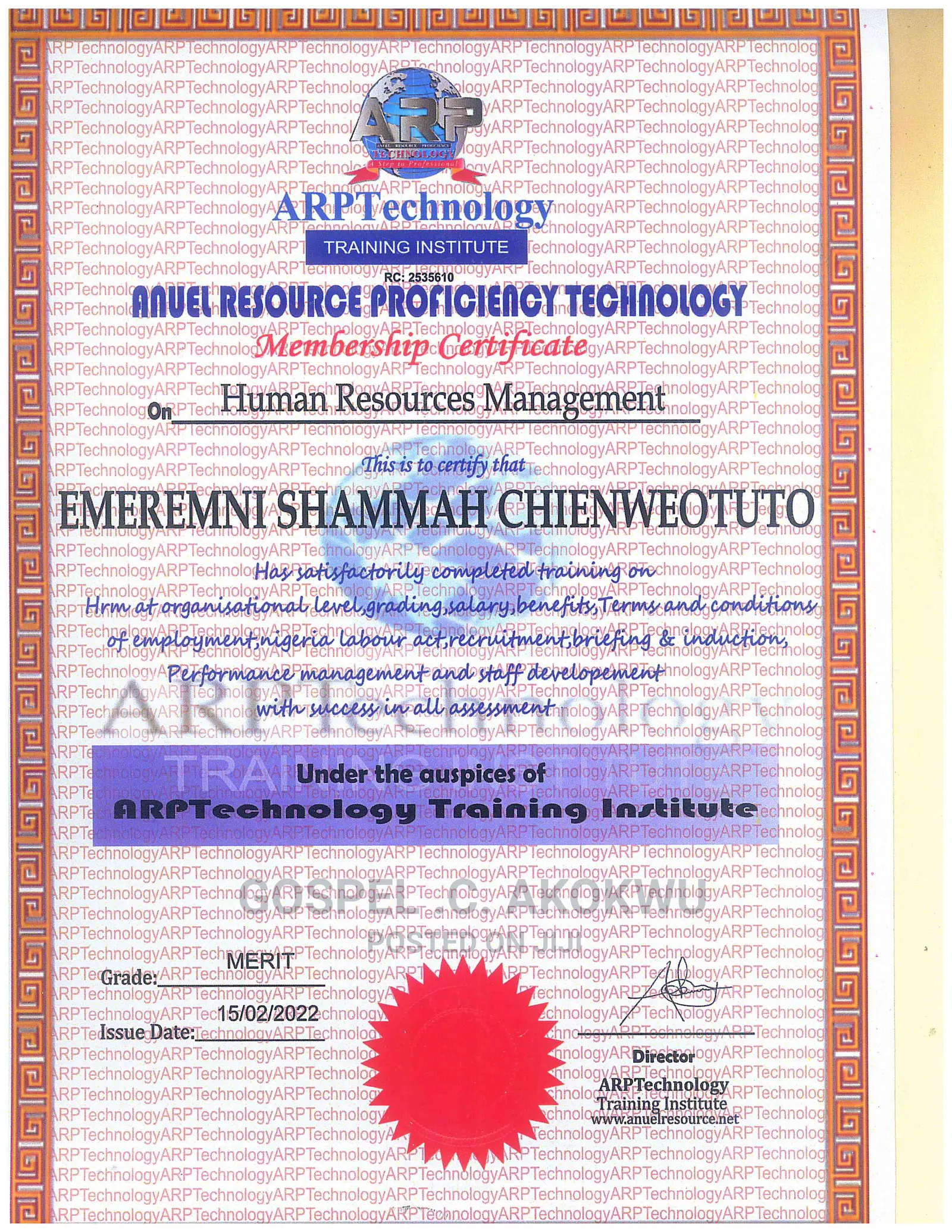 Professional and ICT Training Programs