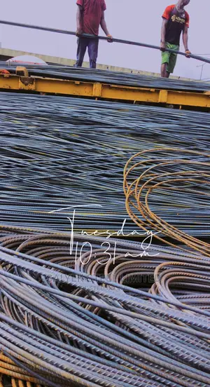 Reinforcement Rod