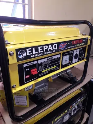 Elepaq Constant Sv6800 Manual Generator