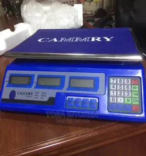 Digital 40kg Camry Scale