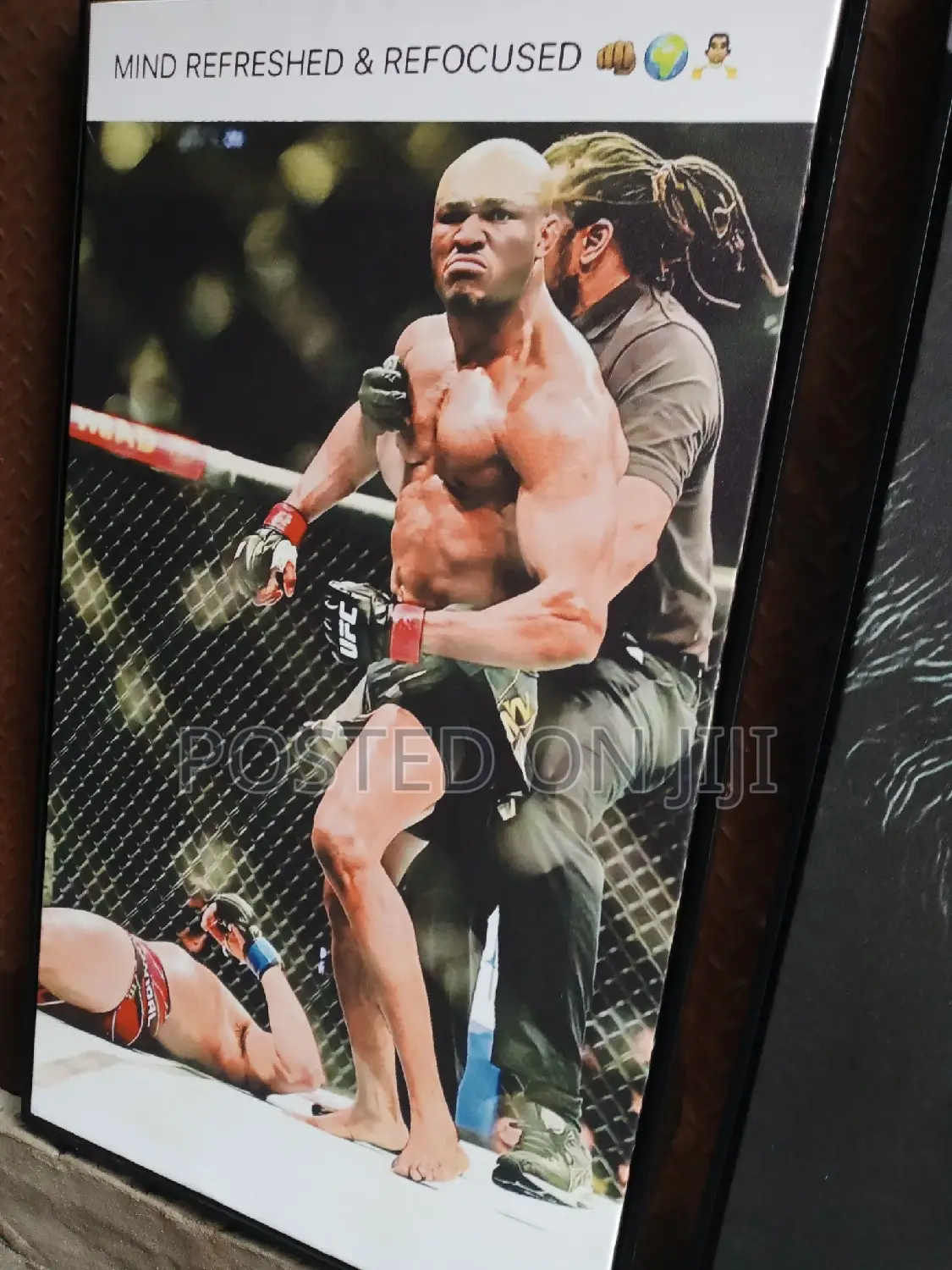 Lion/Restling Motivational Quotes.