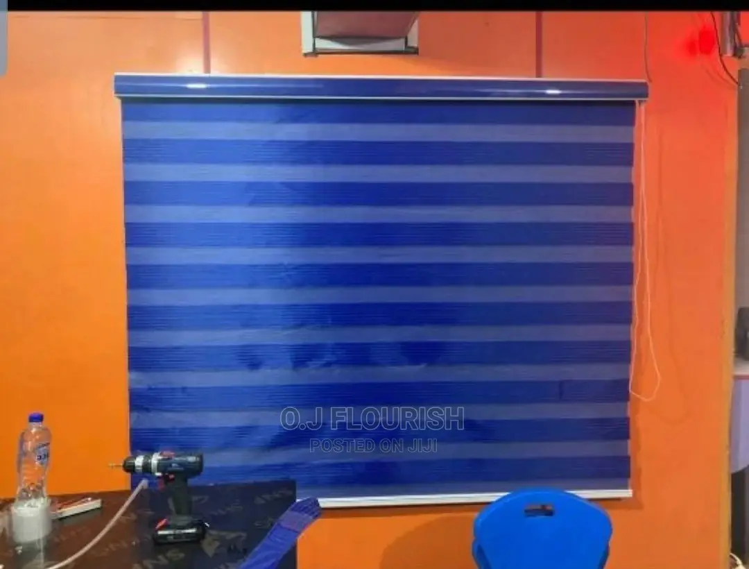 Exquisite Day and Night Window Blinds