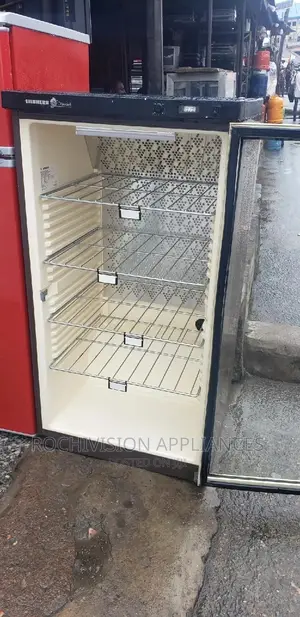 Display Fridge Chiller Beverage Showcase Beverages Chiller