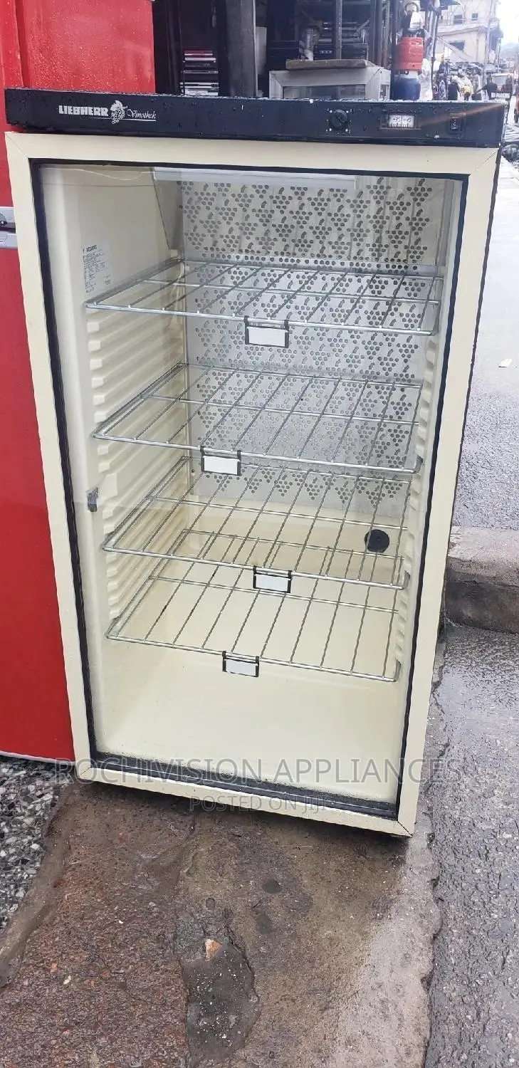 Display Fridge Chiller Beverage Showcase Beverages Chiller