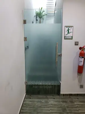 Frameless Hinge Door