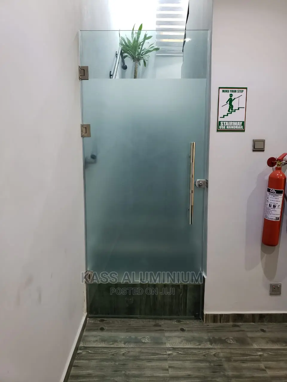 Frameless Hinge Door