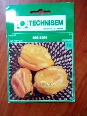 Habanero Hot Pepper