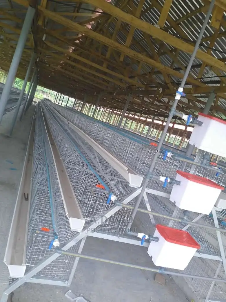 Poultry Battery Cages