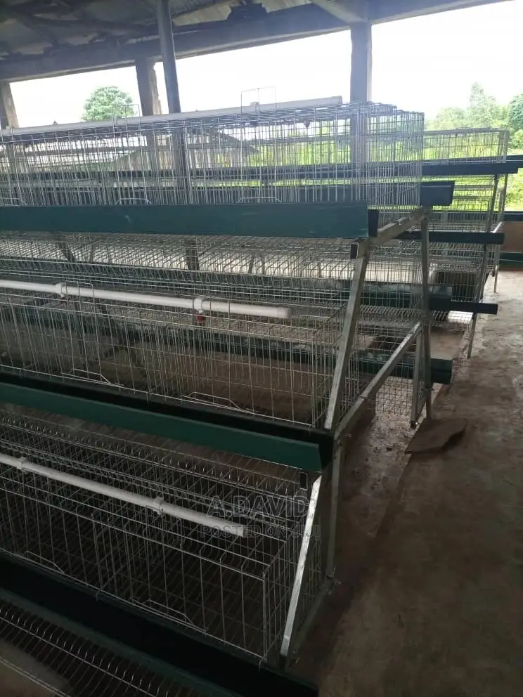 Poultry Battery Cages