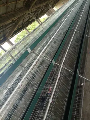 Poultry Battery Cages