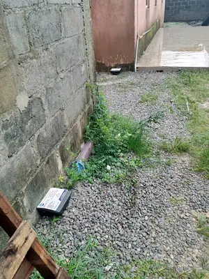Rodent Bait Stations Supply and Installation