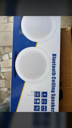 Bluetooth Ceiling Speaker