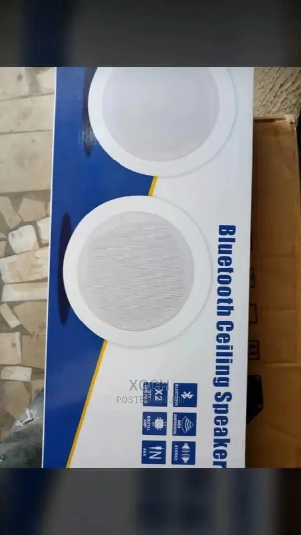 Bluetooth Ceiling Speaker