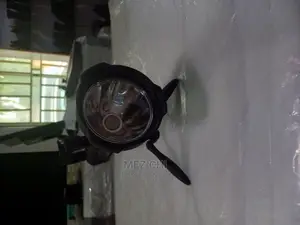 Long Range Security Torchlight