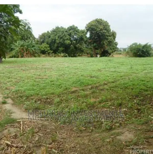 1000 Acres Dry Table Land Behind Yaba Tech Epe /Plot