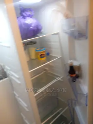 Repair of Your Modern Fridge I
