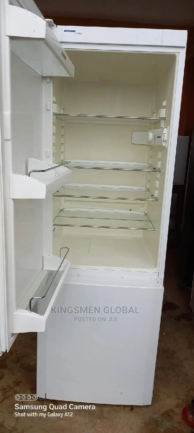 High Quality Liebherr Fridge Freezer From Germany