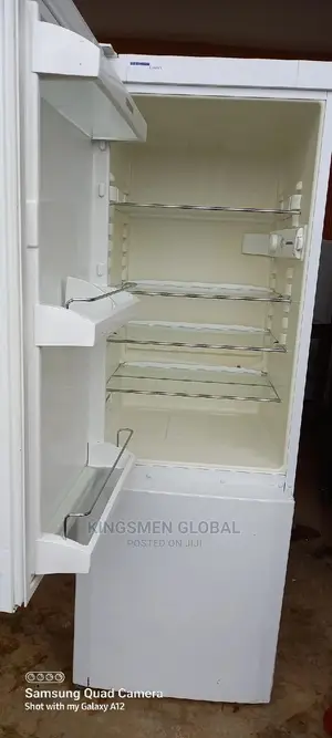 High Quality Liebherr Fridge Freezer From Germany