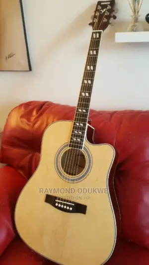 Photo - Yamaha Semi Acoustic Guitar