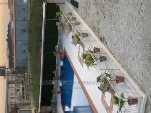 Best Quality Artificial Grass for Your Pool(Christmas Sales)