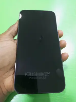 Apple iPhone 12 Pro Max 256 GB Green