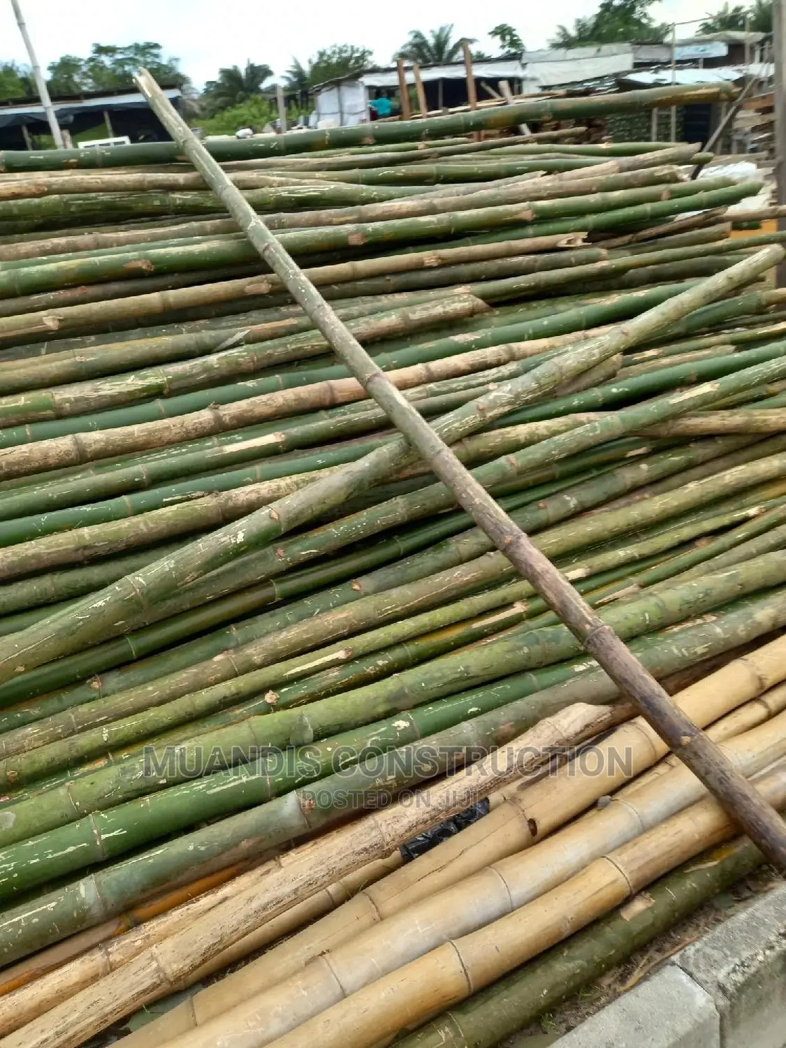 Strong Bamboo for Construction