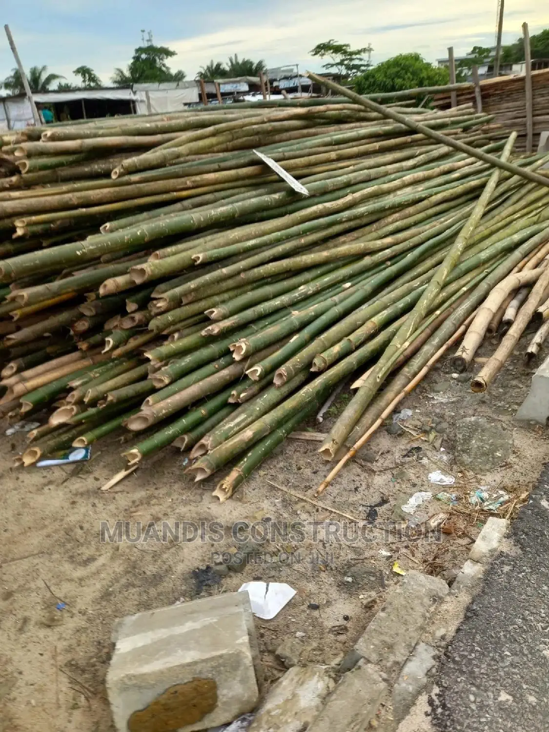 Strong Bamboo for Construction