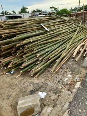 Strong Bamboo for Construction